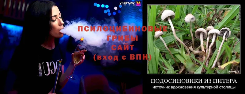 Галлюциногенные грибы Cubensis  Тихорецк 